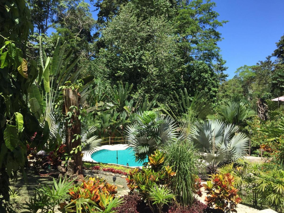 Las Palomas Villas Cocles Extérieur photo