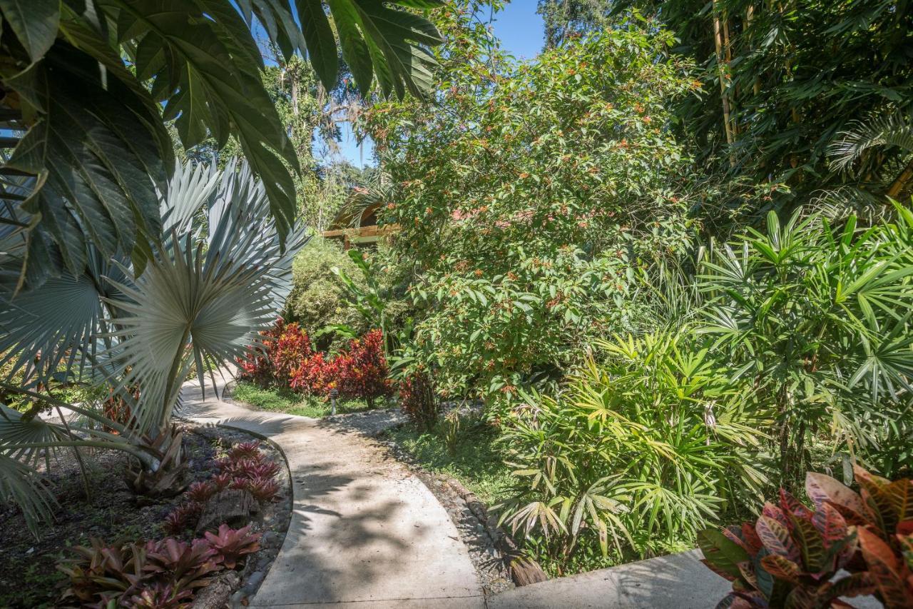 Las Palomas Villas Cocles Extérieur photo