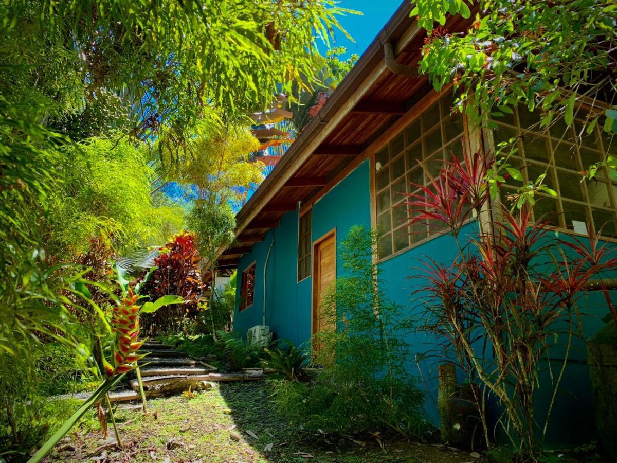 Las Palomas Villas Cocles Extérieur photo