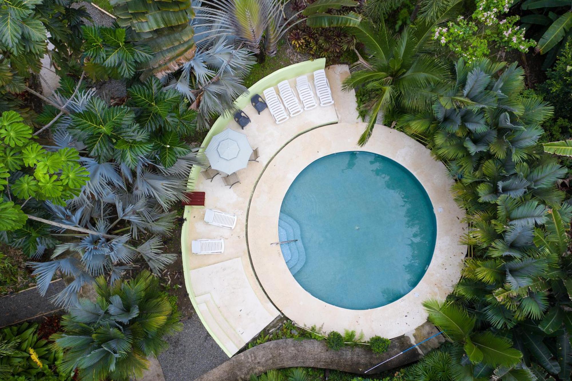 Las Palomas Villas Cocles Extérieur photo