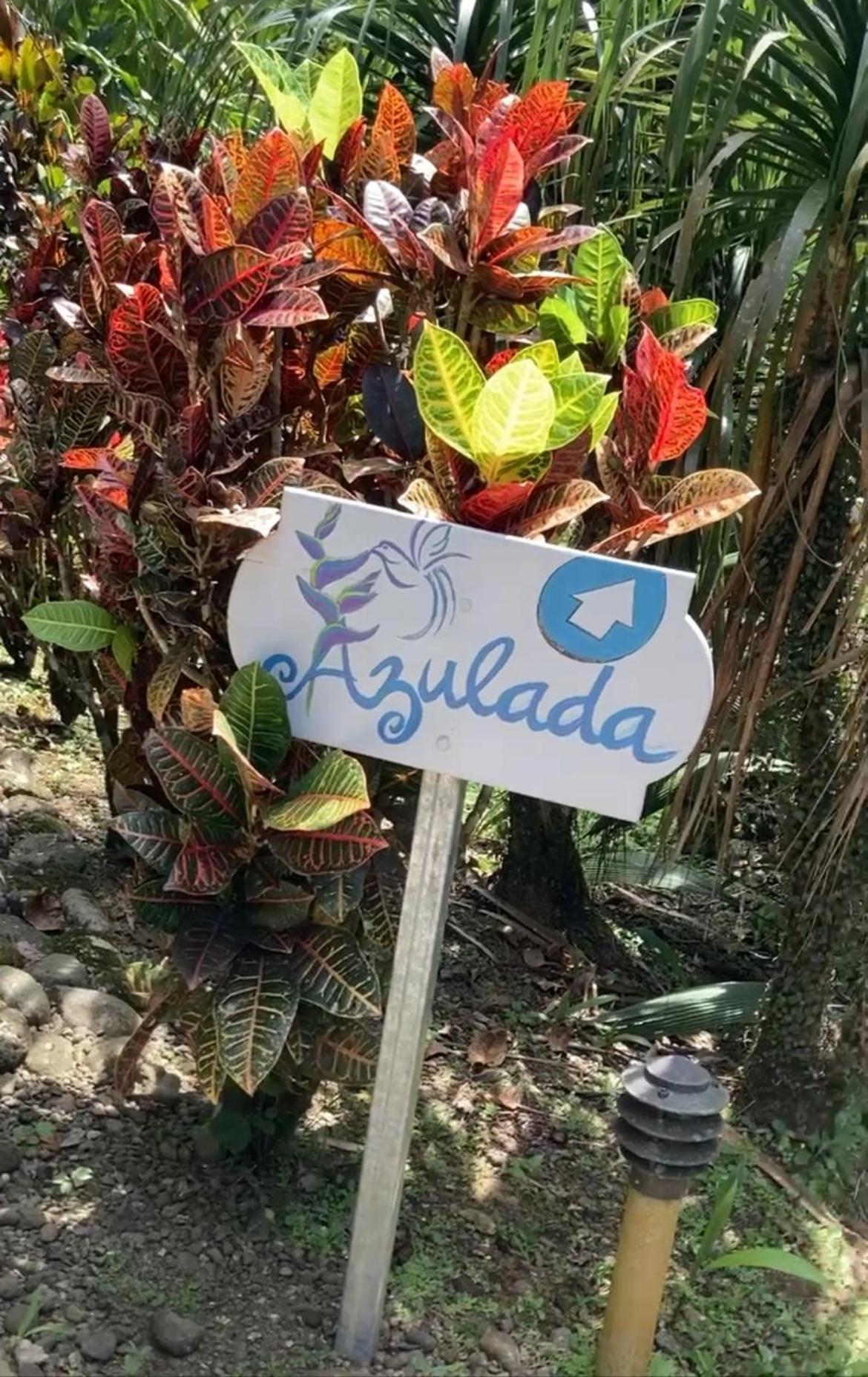 Las Palomas Villas Cocles Extérieur photo