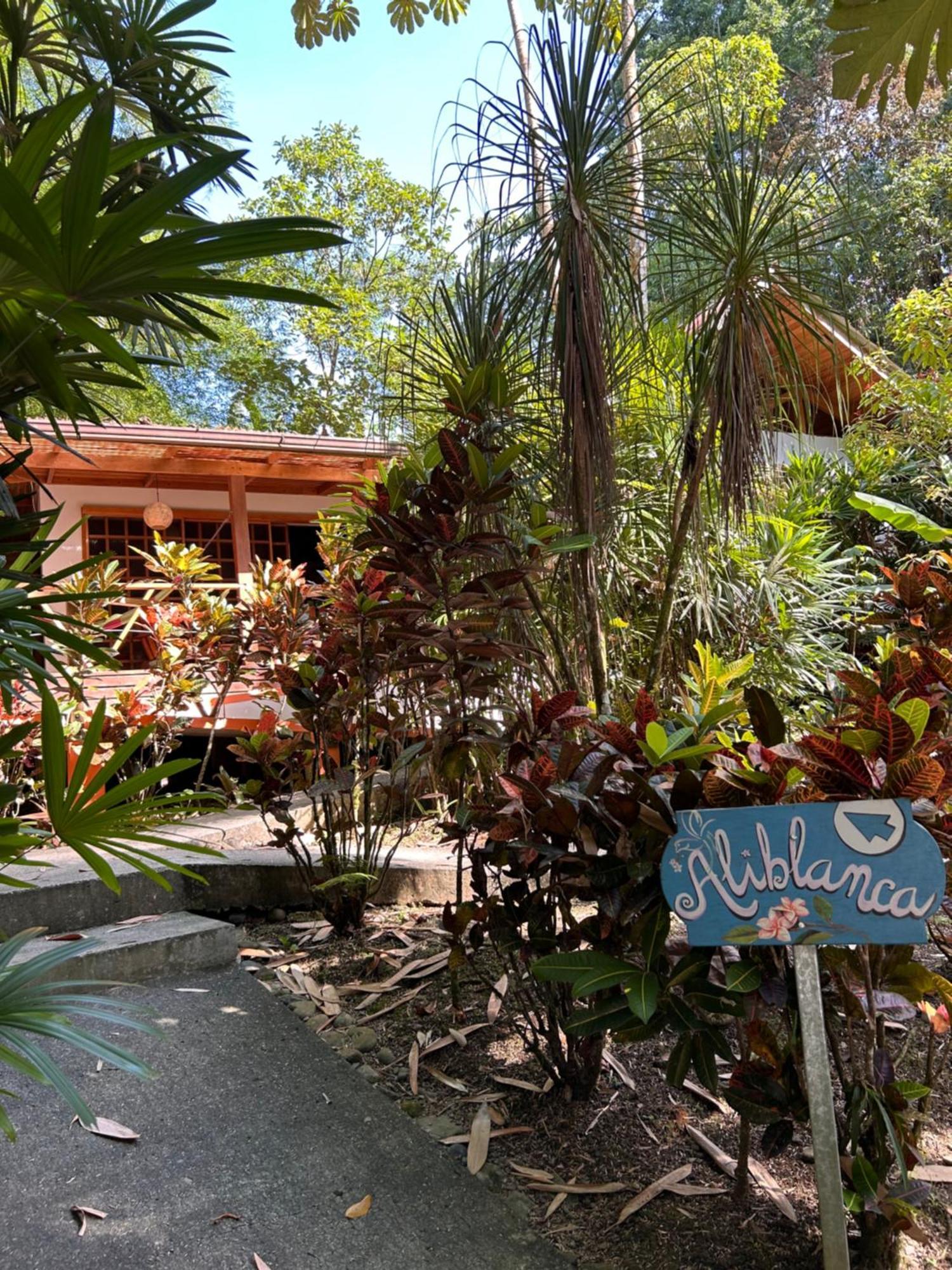 Las Palomas Villas Cocles Extérieur photo